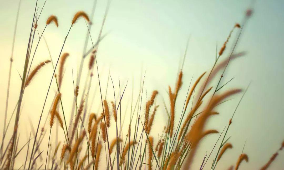 中国教会是到了该省思的时候了! 第12张 中国教会是到了该省思的时候了! 第12张