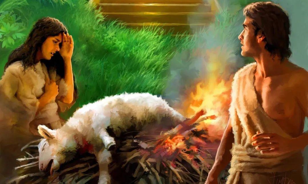 面对疫情，基督徒，你愿做保罗吗？  第5张