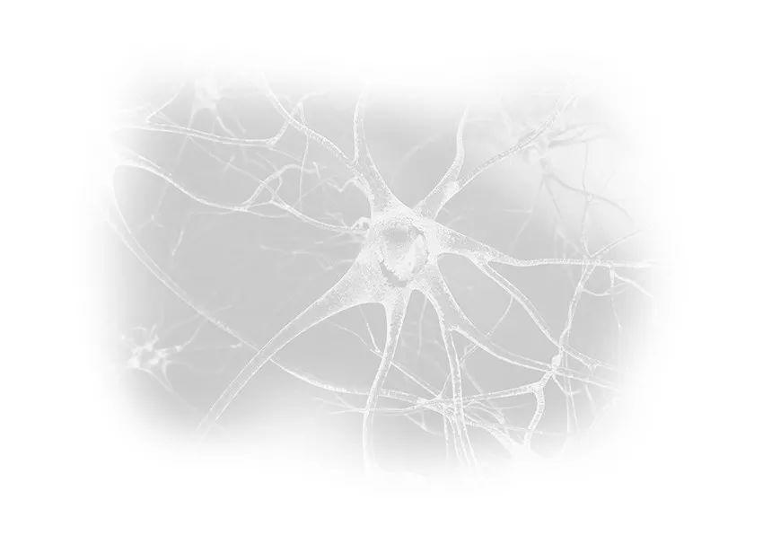 有信仰的人生不一样！[修订版]  第32张