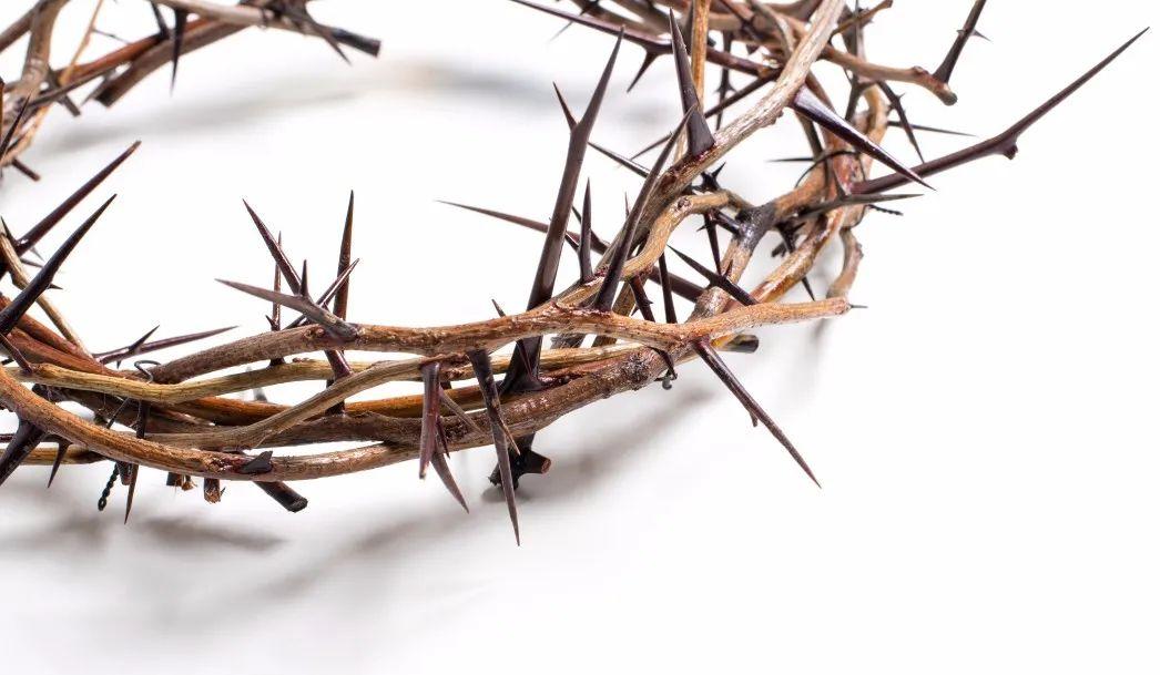 苦杯祂饮，祝福我享！  第2张