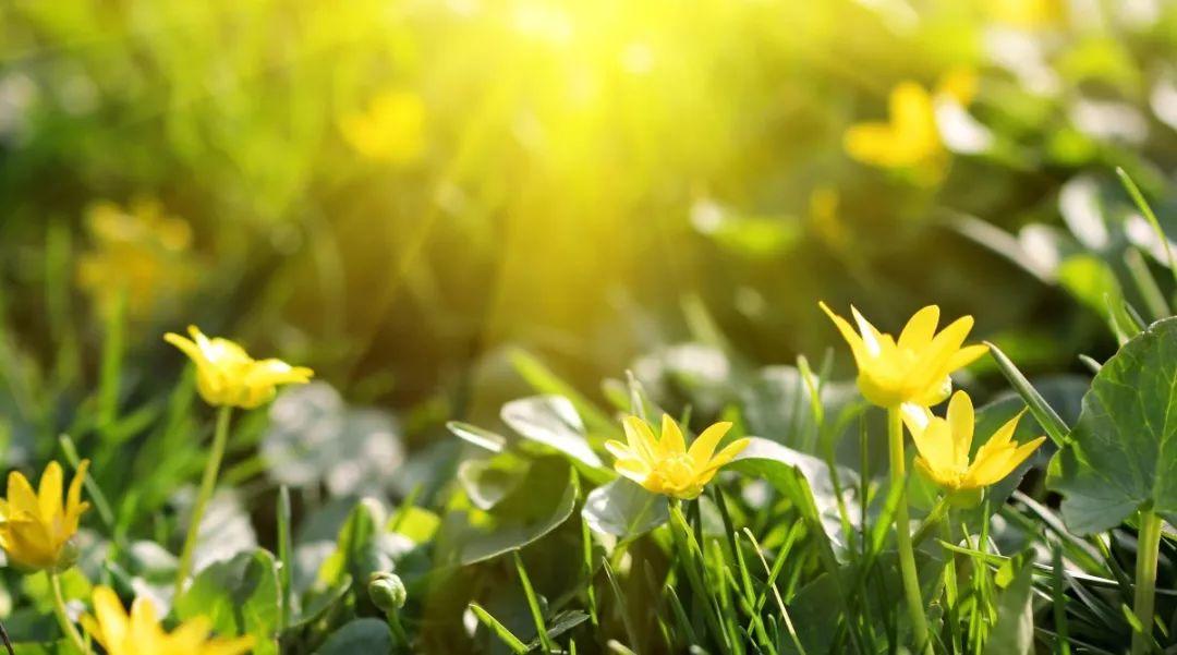 牢记！基督徒一生中必做的三件事