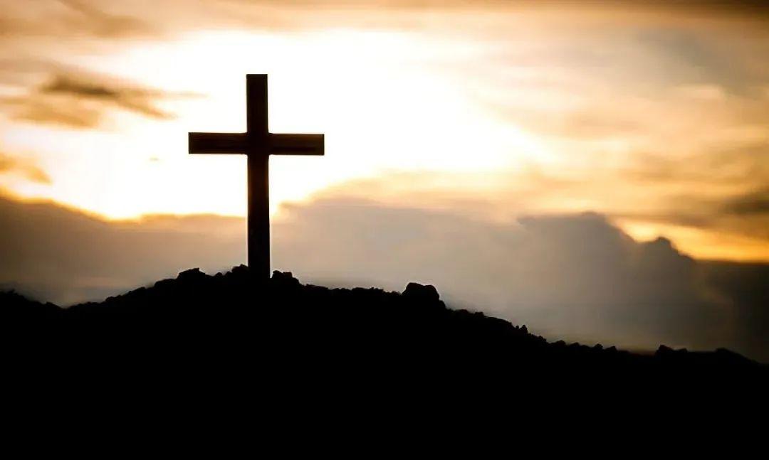 他那无言的爱，你究竟懂几分？  第4张