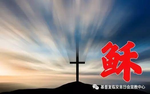 六千年等待,只为此刻看你一眼!  第4张 六千年等待,只为此刻看你一眼!  第4张