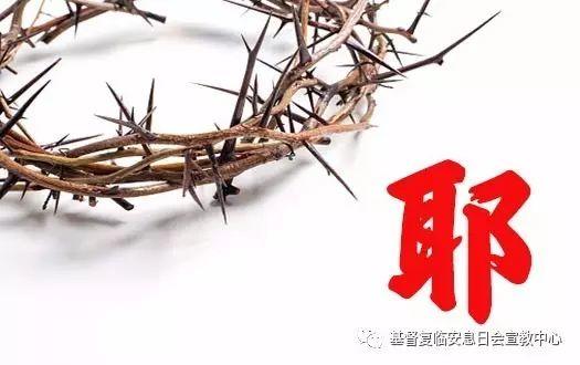 六千年等待,只为此刻看你一眼!  第3张 六千年等待,只为此刻看你一眼!  第3张