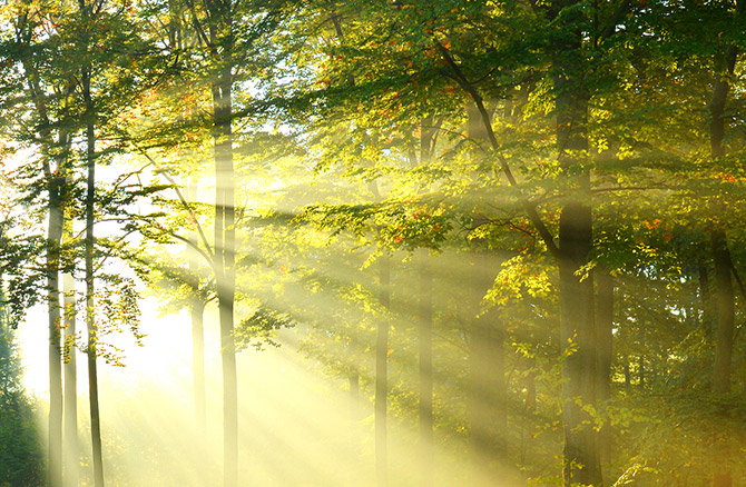 上帝如何奇妙的拯救了一名大学生！  第6张