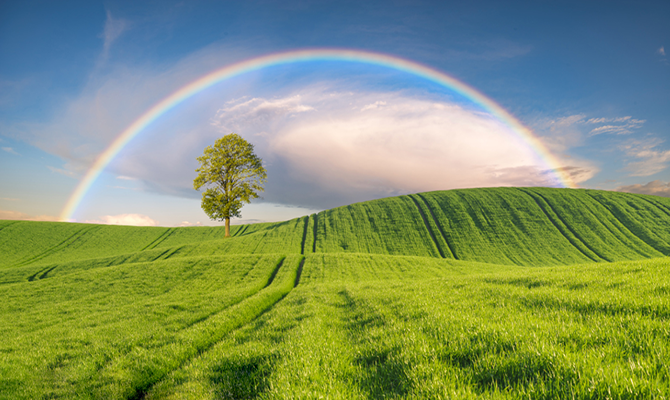情商大师——耶稣！（中）