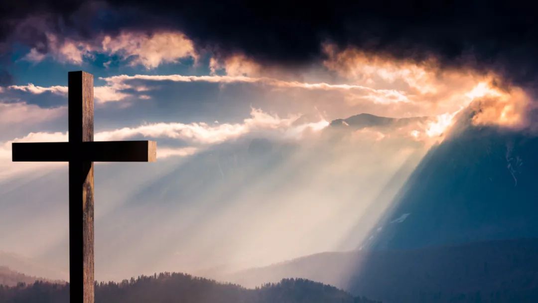 我们错了，而且是大错特错！  第5张