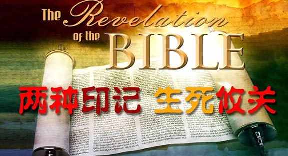 两种印记，生死攸关！  第1张