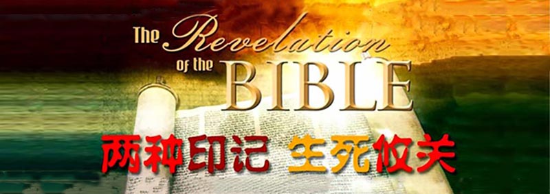 两种印记，生死攸关！