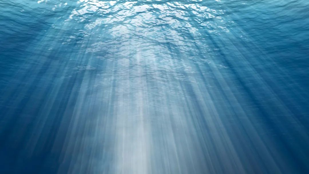 在末时，做一个“不正常”的人！  第11张